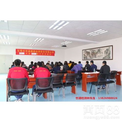 上海网络技术服务的发展与机遇