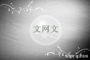 如何办理网络文化经营许可证